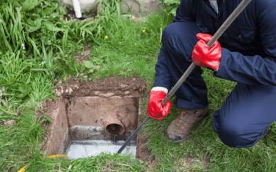 Why Jacksonville Homes Need French Drains